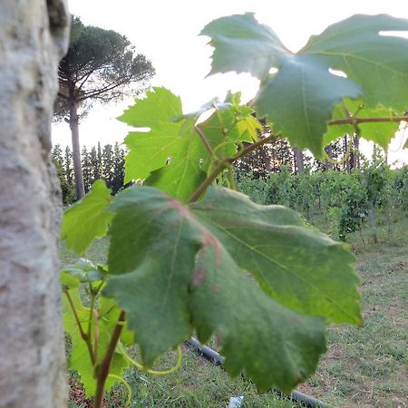 Agriturismo Occhineri Porto Cesareo Buitenkant foto