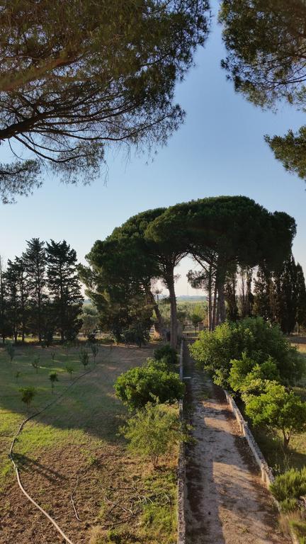 Agriturismo Occhineri Porto Cesareo Buitenkant foto
