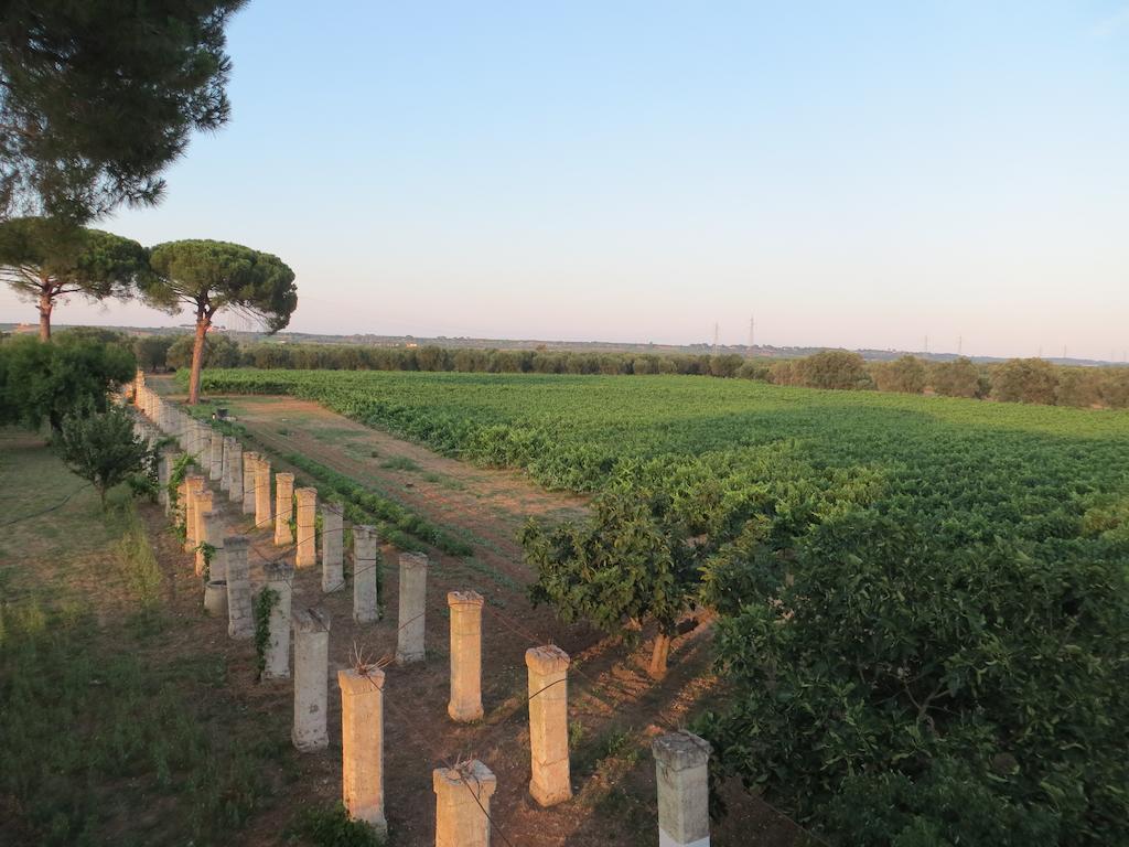 Agriturismo Occhineri Porto Cesareo Buitenkant foto