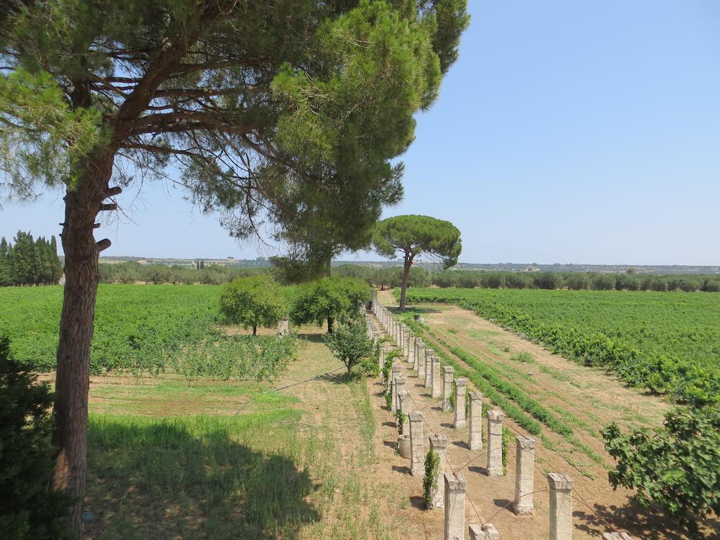 Agriturismo Occhineri Porto Cesareo Buitenkant foto